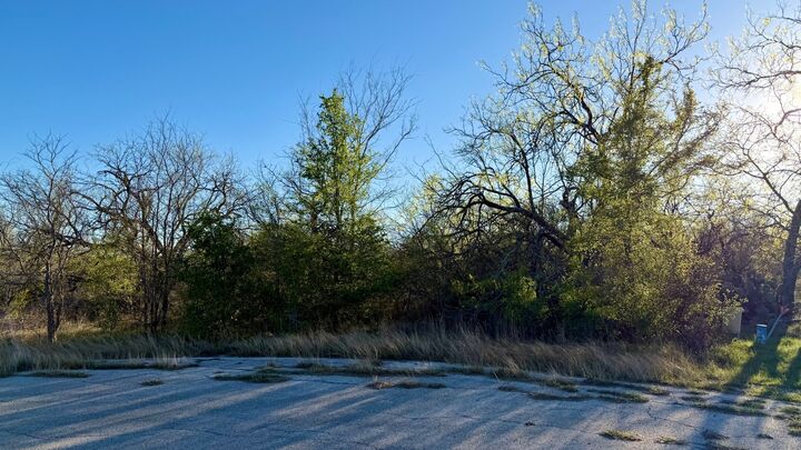 Property Photo:  14 Spanish Oaks Boulevard  TX 78644 