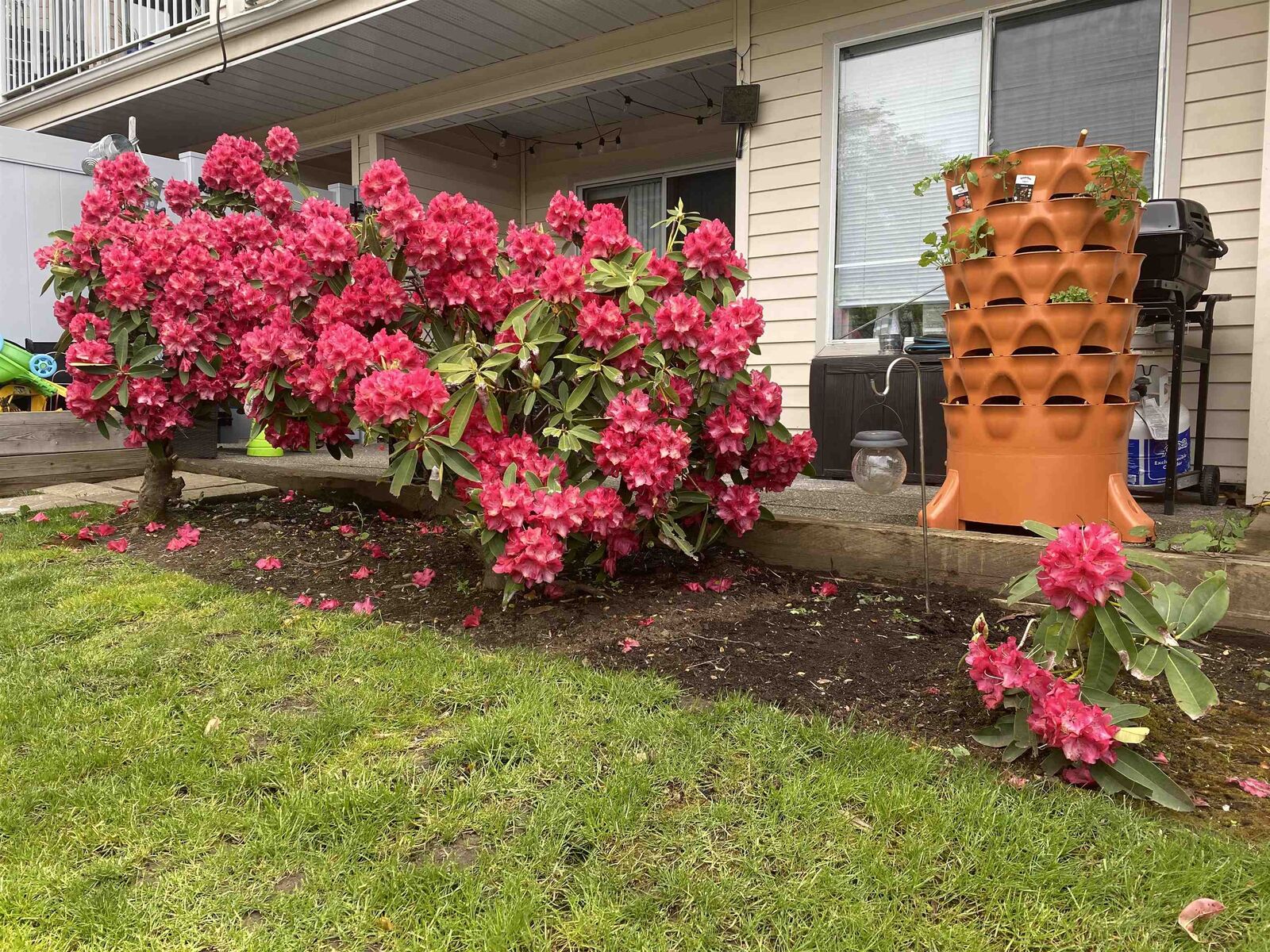 Photo de la propriété:  9299 121 Street 103  BC V3V 7X8 