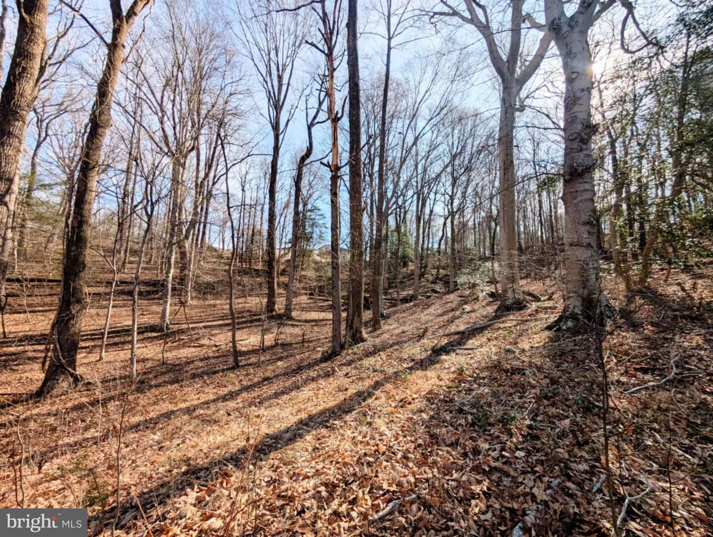 Property Photo: Lot 74 Plantation Drive VA 22520