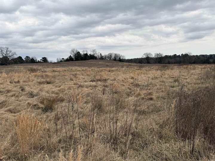 Property Photo:  000 County Road 3335  AR 72830 