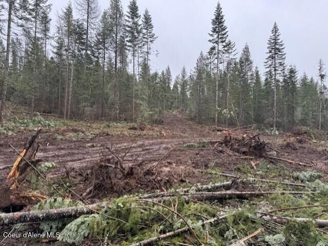 Property Photo: Nka Abundant Life Ct Lot 1 ID 83801