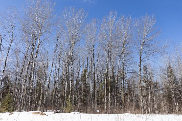 Photo de la propriété:  19 Jackpine Crescent  MB R0A 2N0 