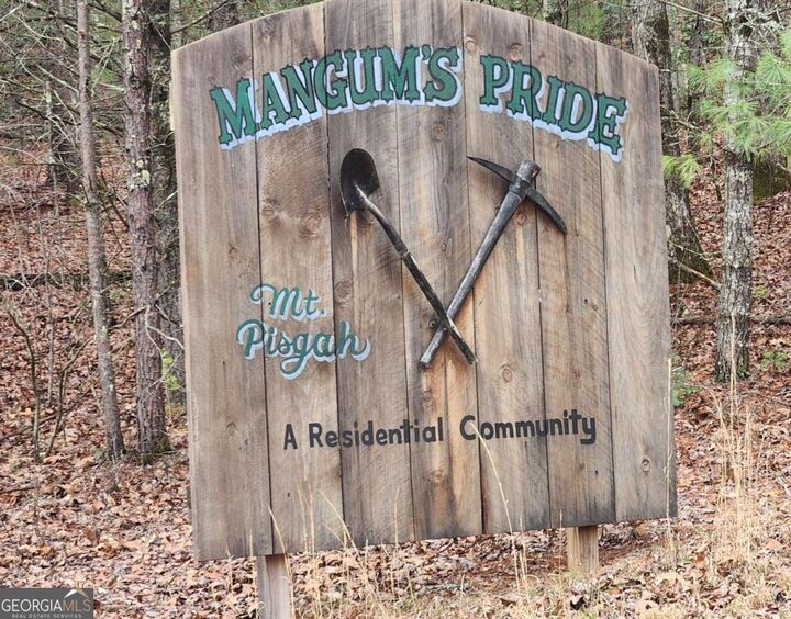 Property Photo:  Lot 13 Mangums Trail  GA 30513 
