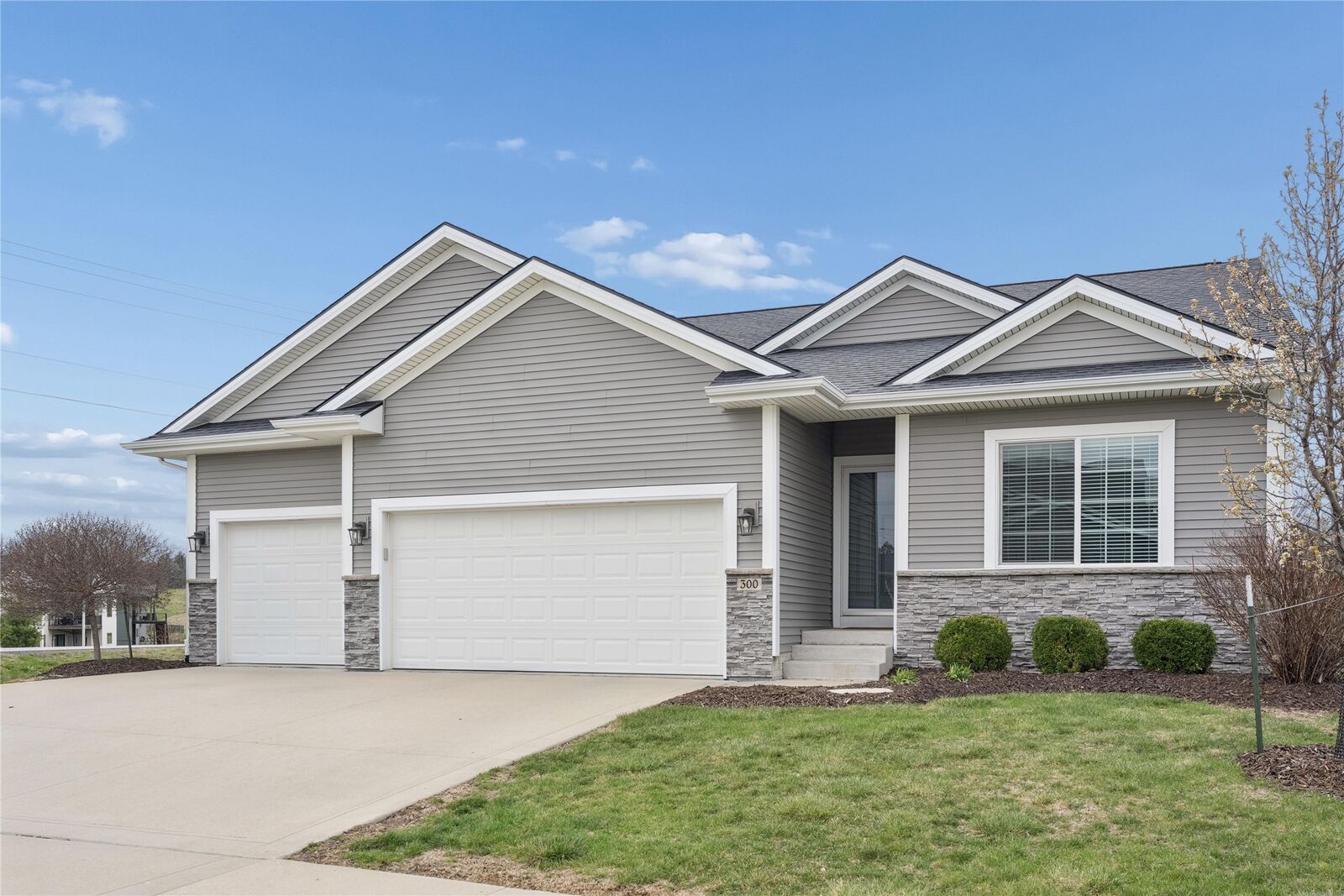 Property Photo:  300 NE Tanzanite Court  IA 50111 