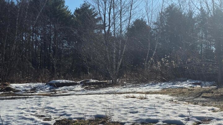 Property Photo: 1122 State Route 52 NY 12759