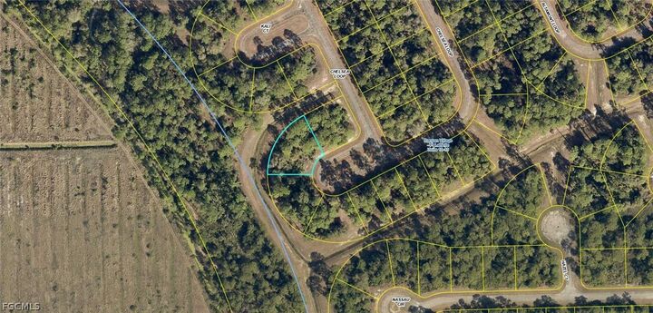 Property Photo:  431 Chelsea Loop  FL 33935 