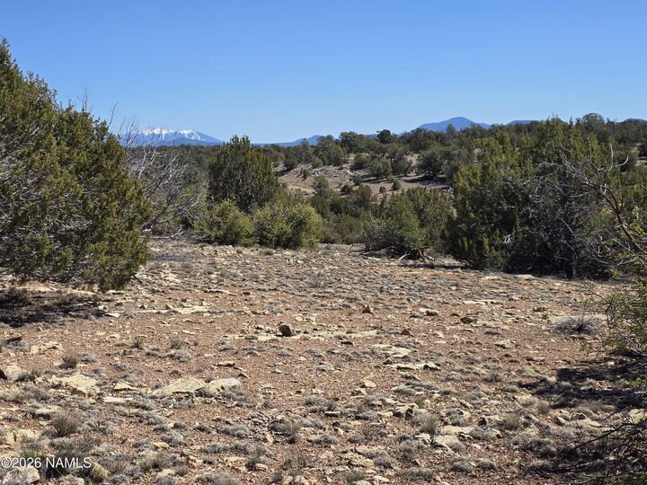 Property Photo:  8299 W Clear Fork Loop  AZ 86046 