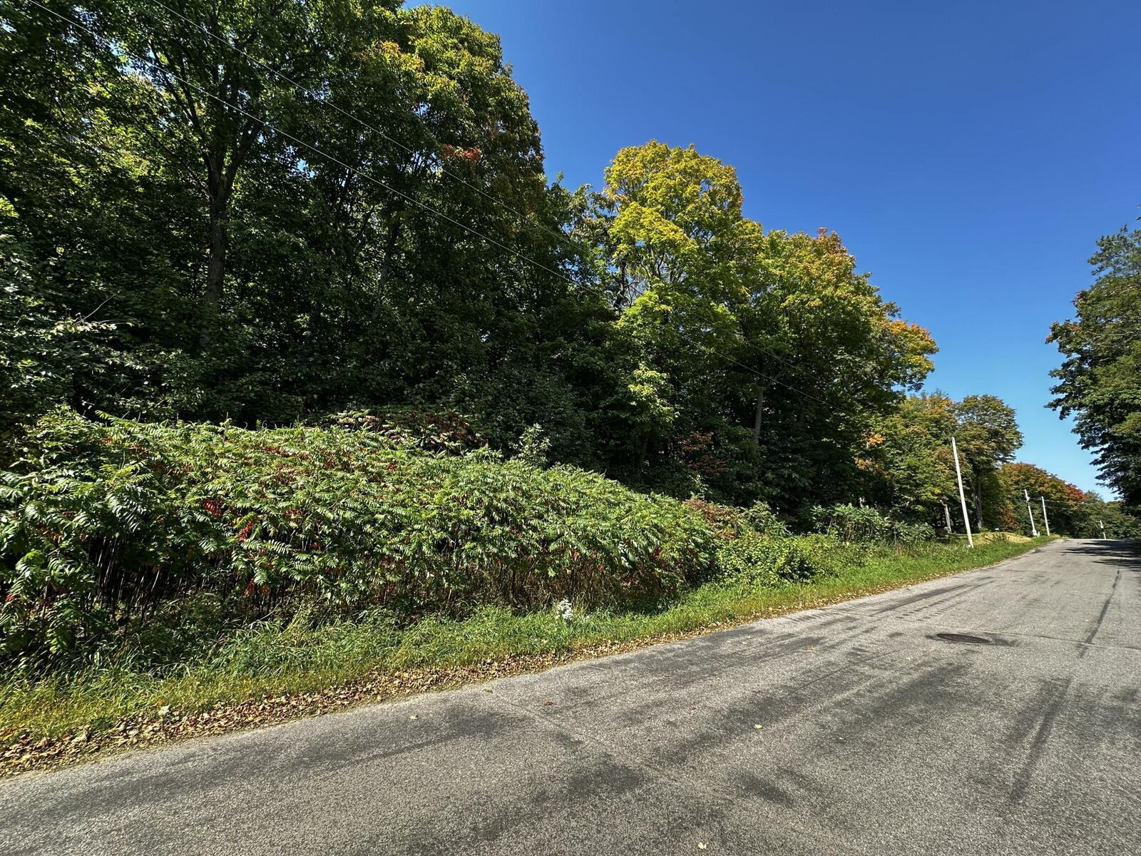 Property Photo: Lots 119 Earle Brown Drive MN 56450