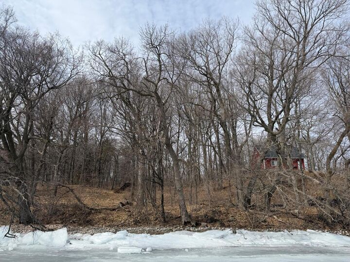 Property Photo:  Lot 37&Amp38 Earle Brown Drive  MN 56450 