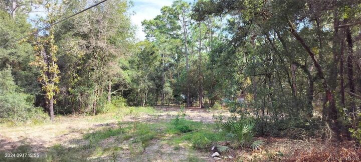 Property Photo:  1108 E Van Gogh Court  FL 34442 