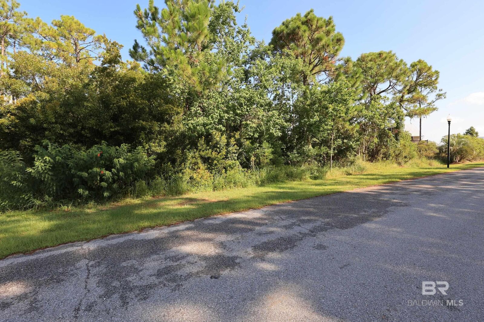 Property Photo: 0 SE Bayou Drive AL 36561