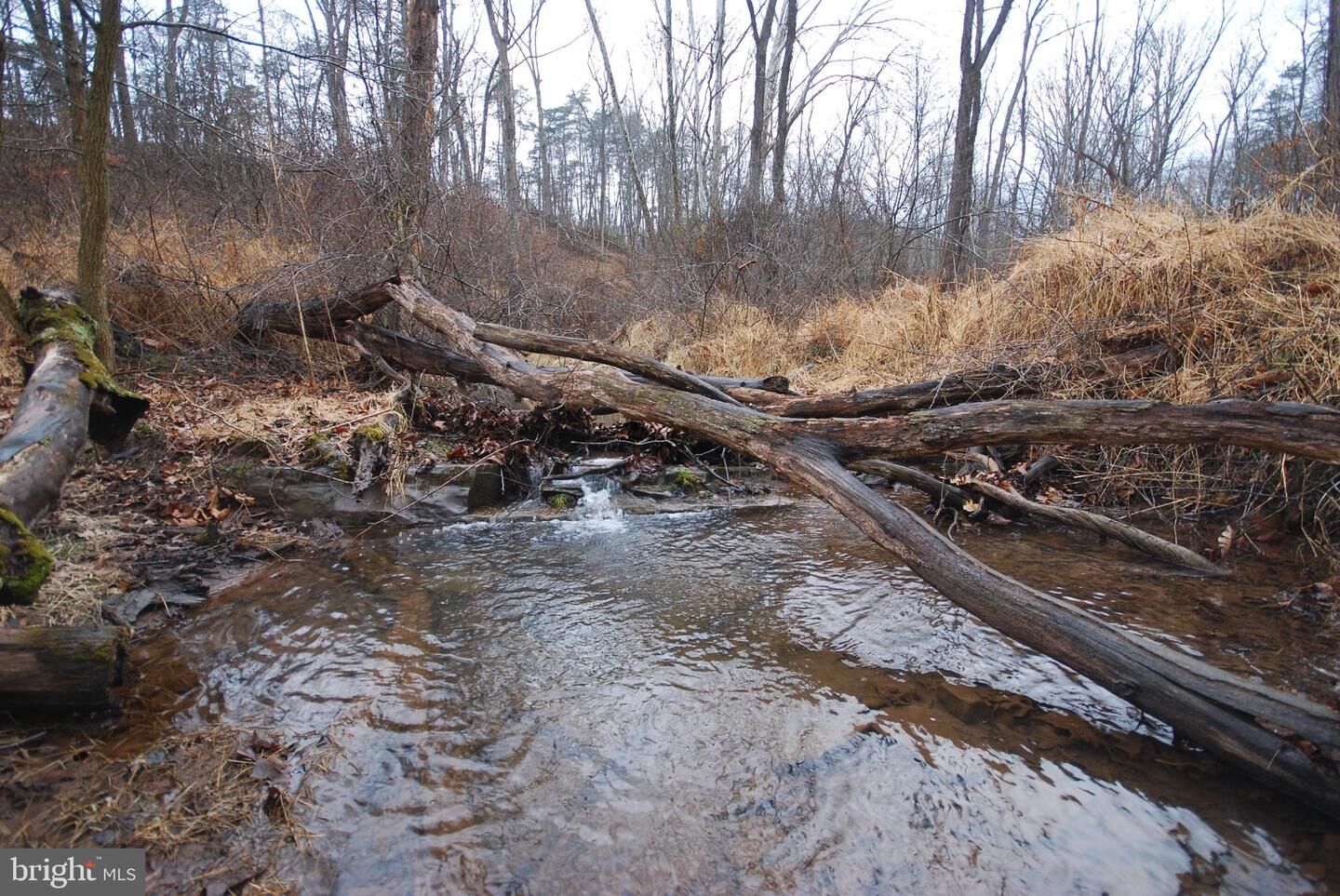 Property Photo:  Lot 21 White Mountain Way  WV 26757 