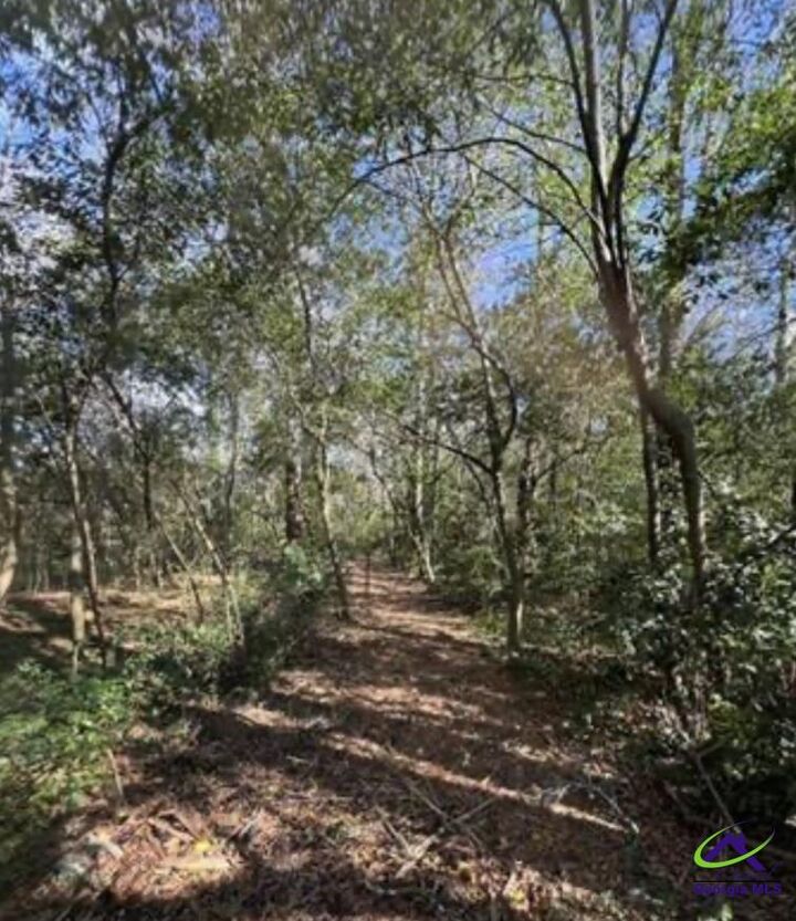 Property Photo:  0000 South Street Aka Market Street  GA 31057 