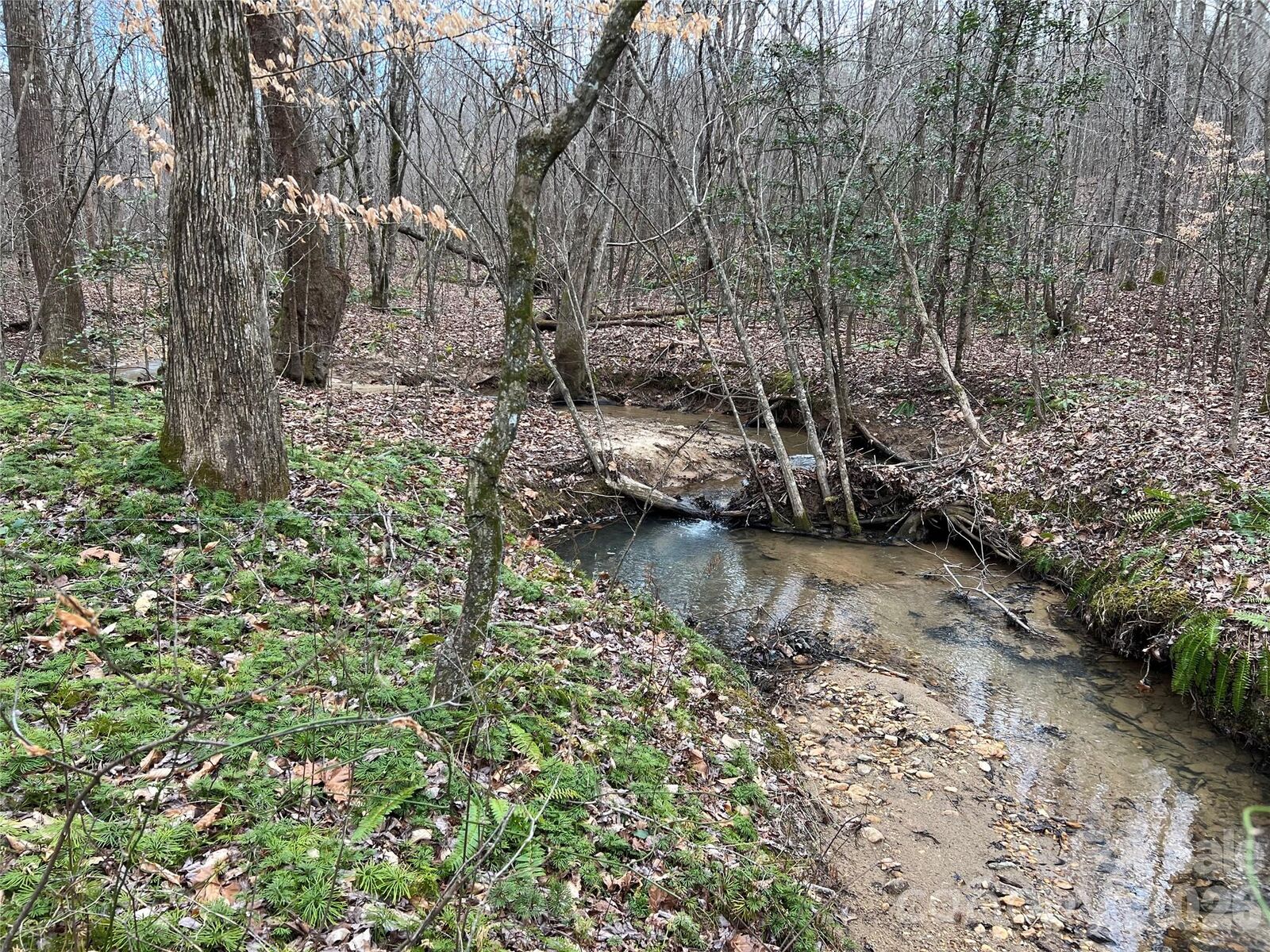 Property Photo: 5291 Vista Lane NC 28655