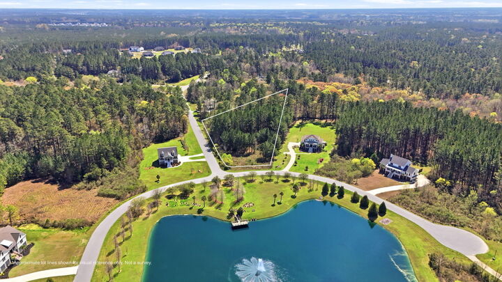 Property Photo:  1313 Wood Sorrel Drive  SC 29461 