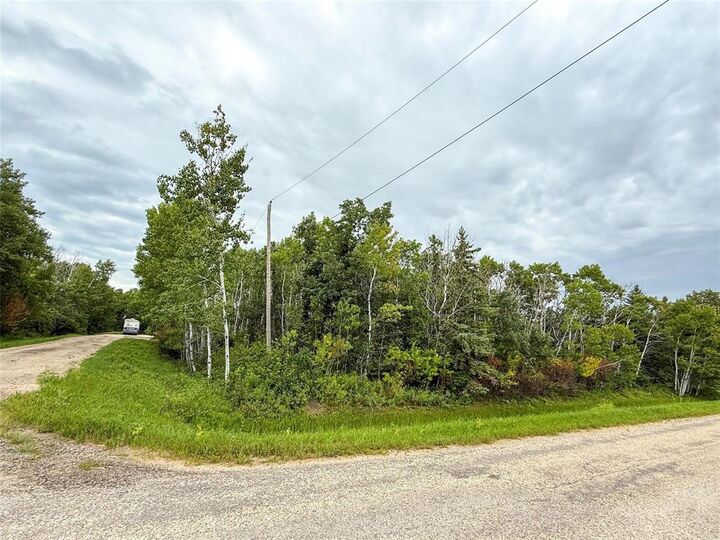 Property Photo:  201 Dunara Avenue  MB R0C 2L0 