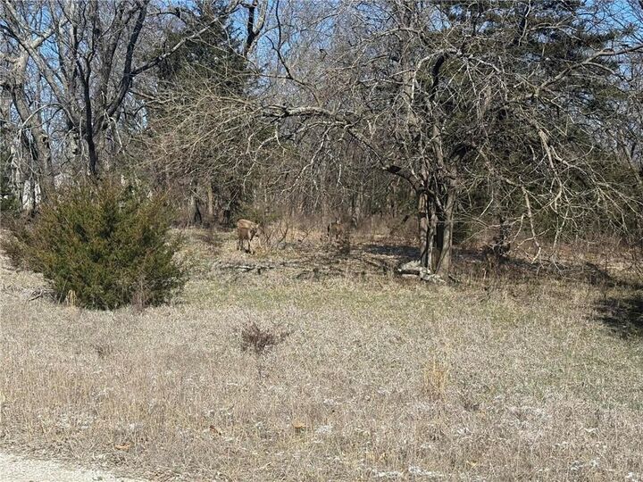 Property Photo:  37 Poplar Lane  KS 66040 