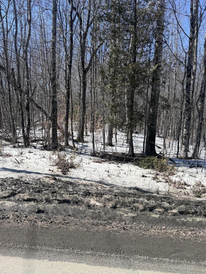 Property Photo:  Lot 53C Corinna Center Road  ME 04928 