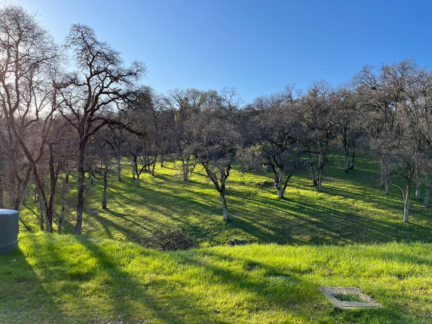 Property Photo: 23288 Darkhorse Drive CA 95602