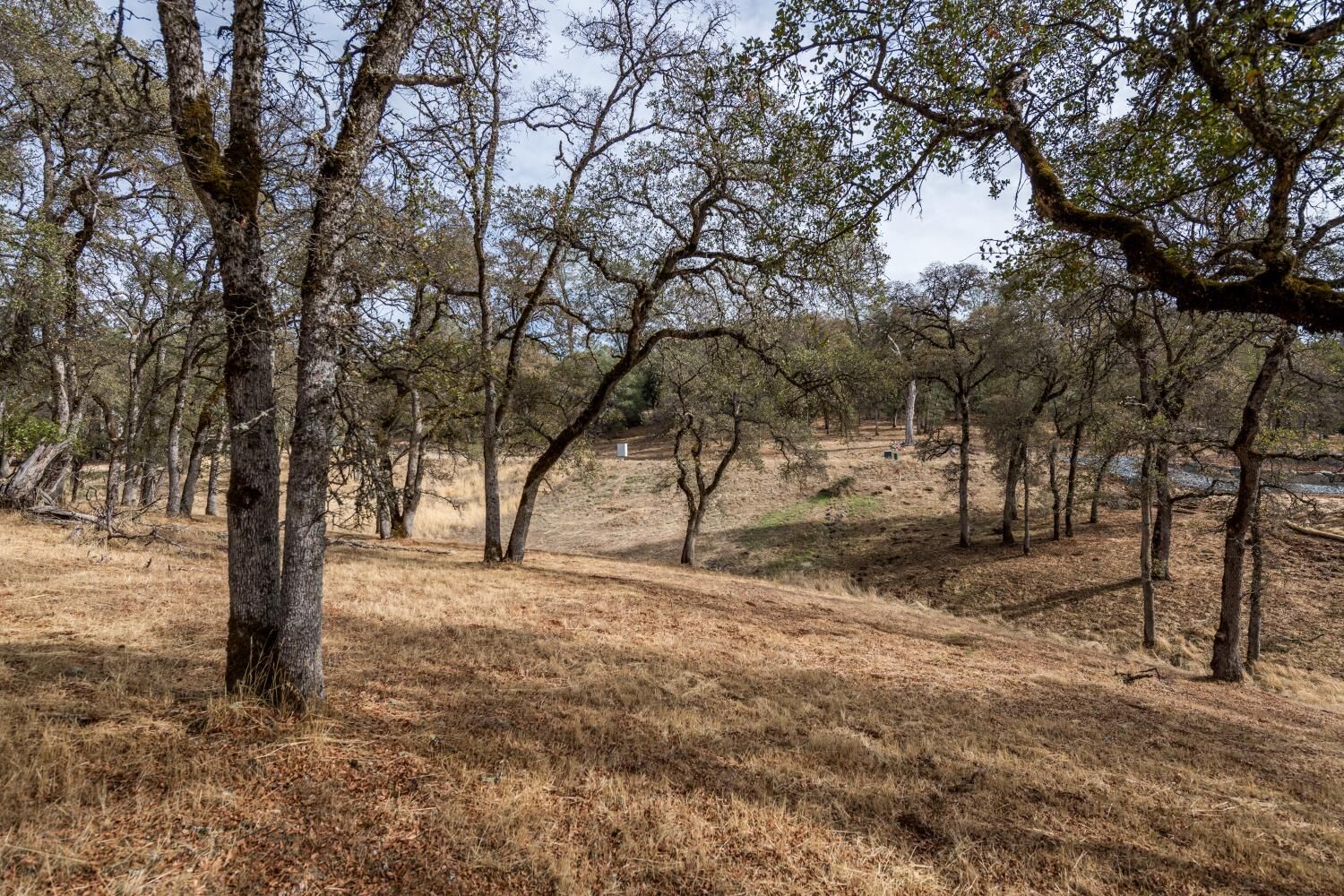 Property Photo:  23288 Darkhorse Drive  CA 95602 