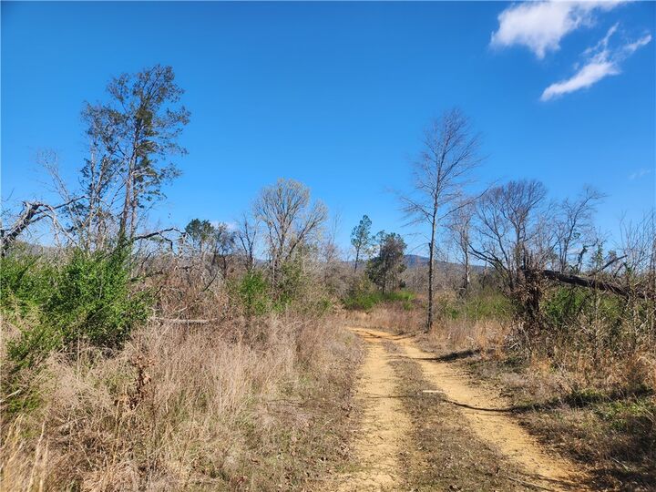 Property Photo:  State Hwy 164  AR 72830 