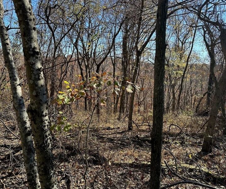 Property Photo:  Aster Drive  AR 72756 