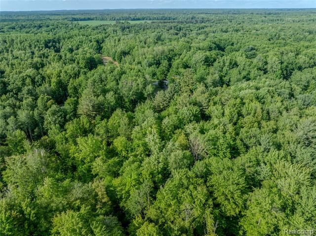 Property Photo:  #0015 V/L Birch Lane  MI 48768 