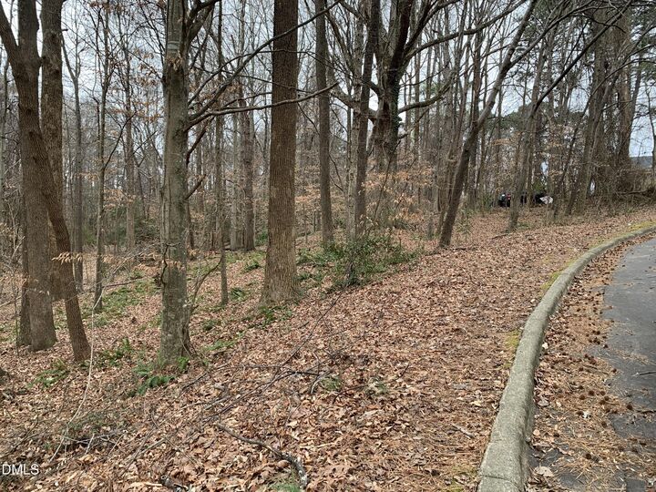 Property Photo: 0 Washington And Smith Street NC 27520