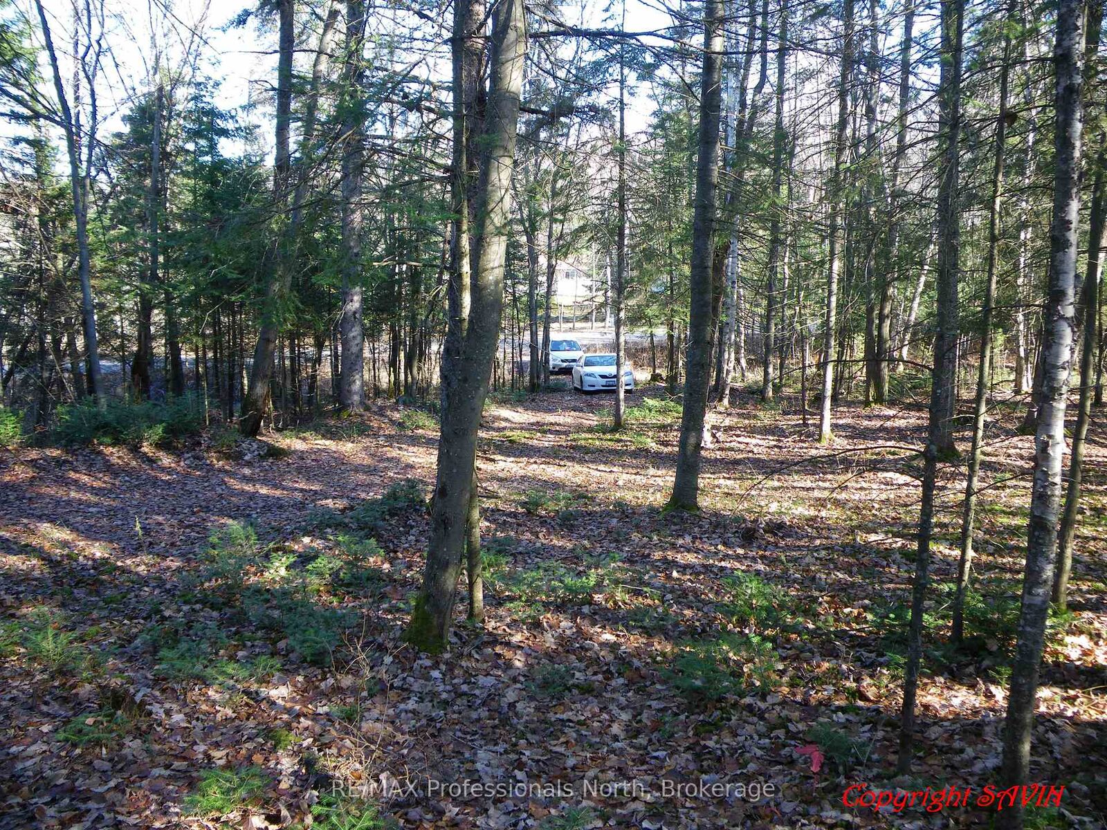 Property Photo: Pcl 20438 &Amp 29803 Upper Walker Lake Road ON P1H 2J6