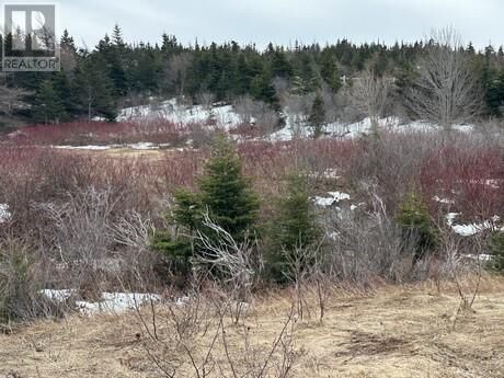 Property Photo:  9-21 Cottors Street  NL A1Y 1A7 