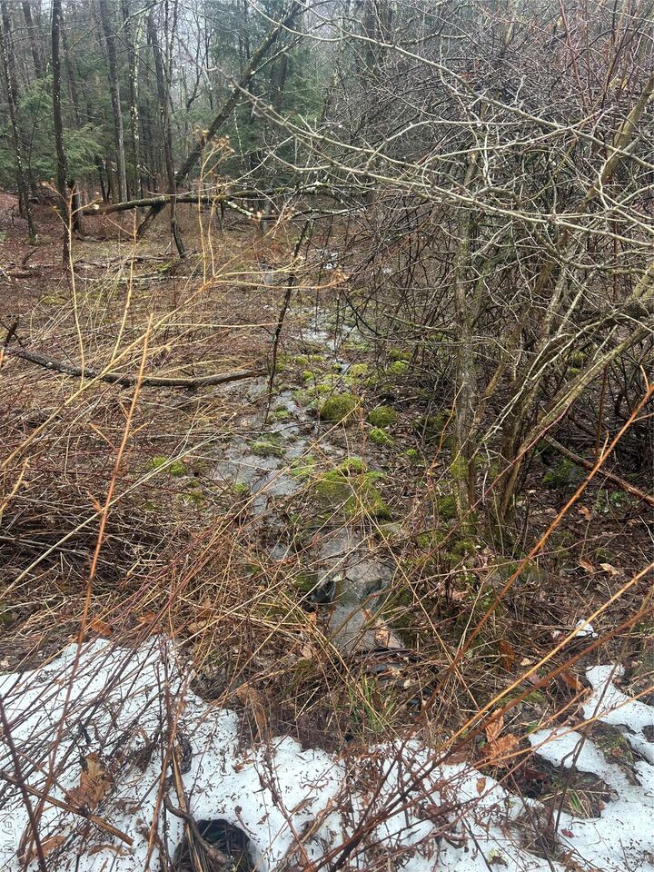 Property Photo:  395 Back Shandelee Road  NY 12758 