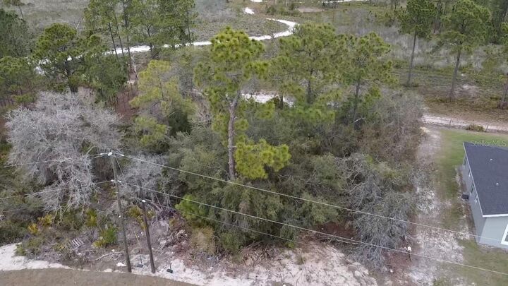 Property Photo: 1226 Apopka Lane FL 34759