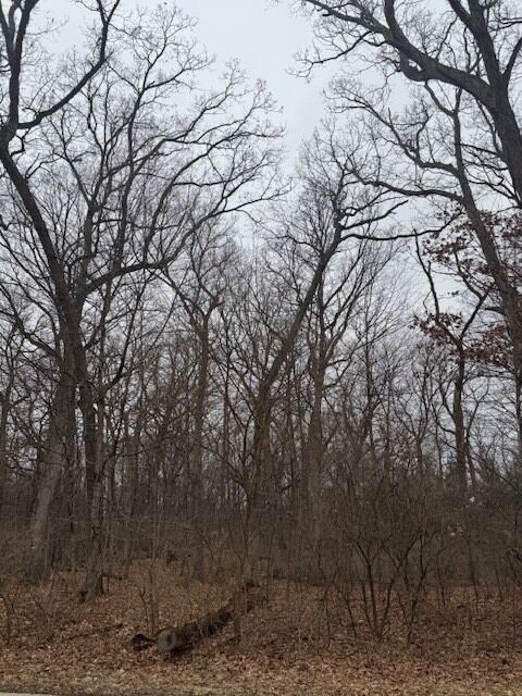 Property Photo:  1833 Indian Trail  IL 60901 