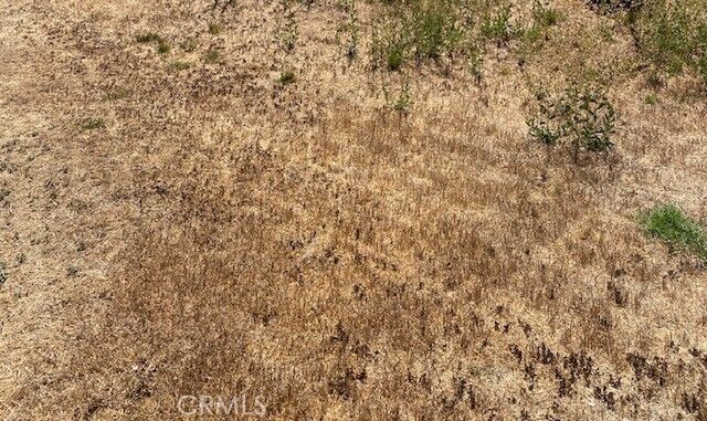 Property Photo:  1 A  CA 93555 