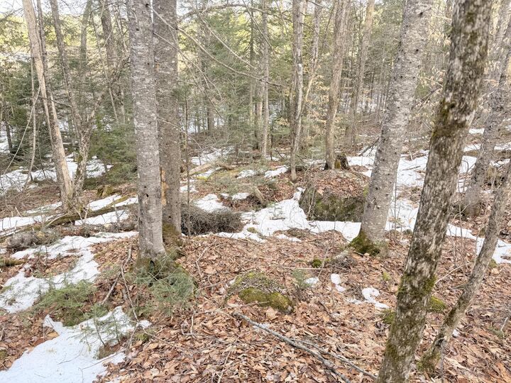 Property Photo:  370 Maple Road  ME 04426 