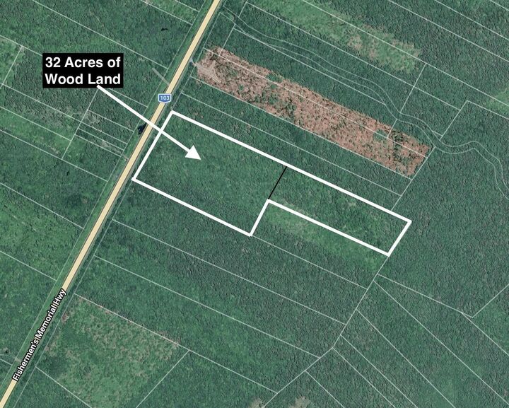 Lots (Pids 70109236 & 70109244) Cow Road — photo 1