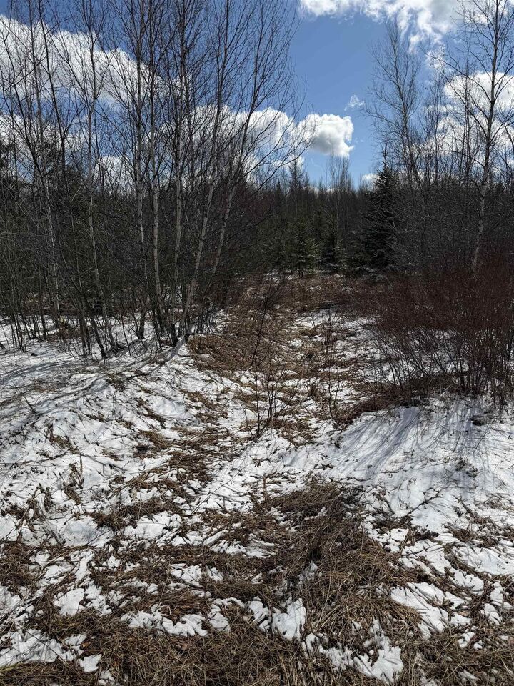 Property Photo:  25 Acres Lake Road  NS B6L 1G5 