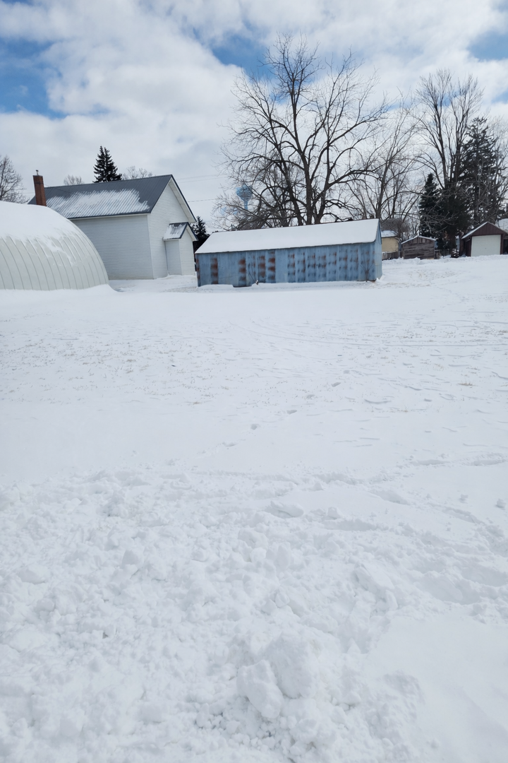 Property Photo:  209 E Main Street  MN 55967 