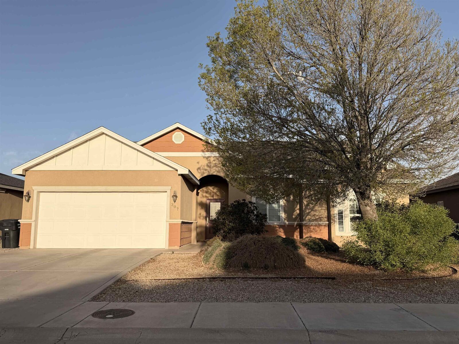 Property Photo:  307 Coronado Dr  NM 88310 