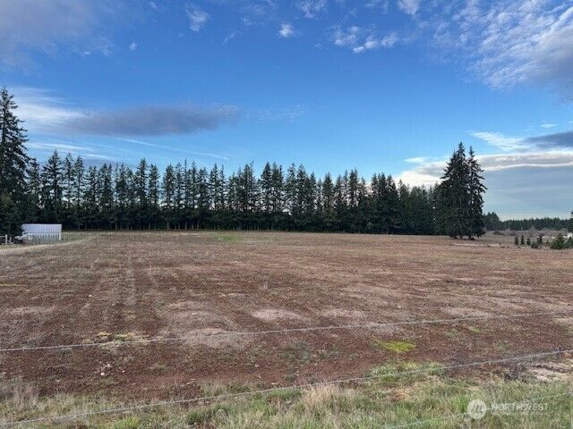 Property Photo: 0 Lot 2 Brown Road WA 98532