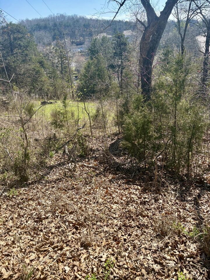 Property Photo:  180 Green Briar Drive  MO 65616 