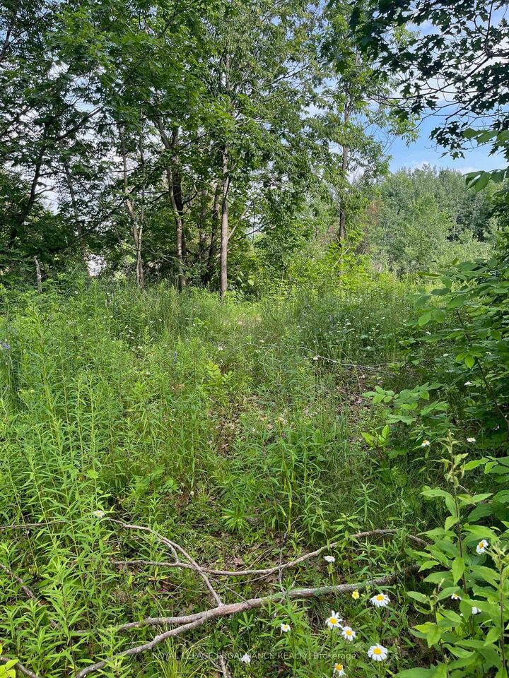 Property Photo: 0 Pt Lt 14 Con 3 N/A ON K0G 1X0