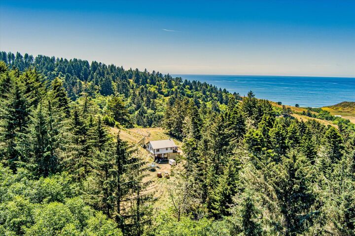 Property Photo:  0 Centerville Road  CA 95536 