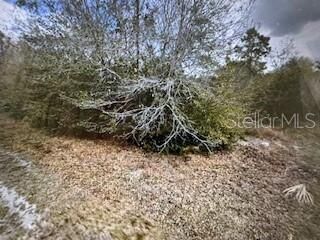 Property Photo: 13274 Caloosa Drive FL 33955