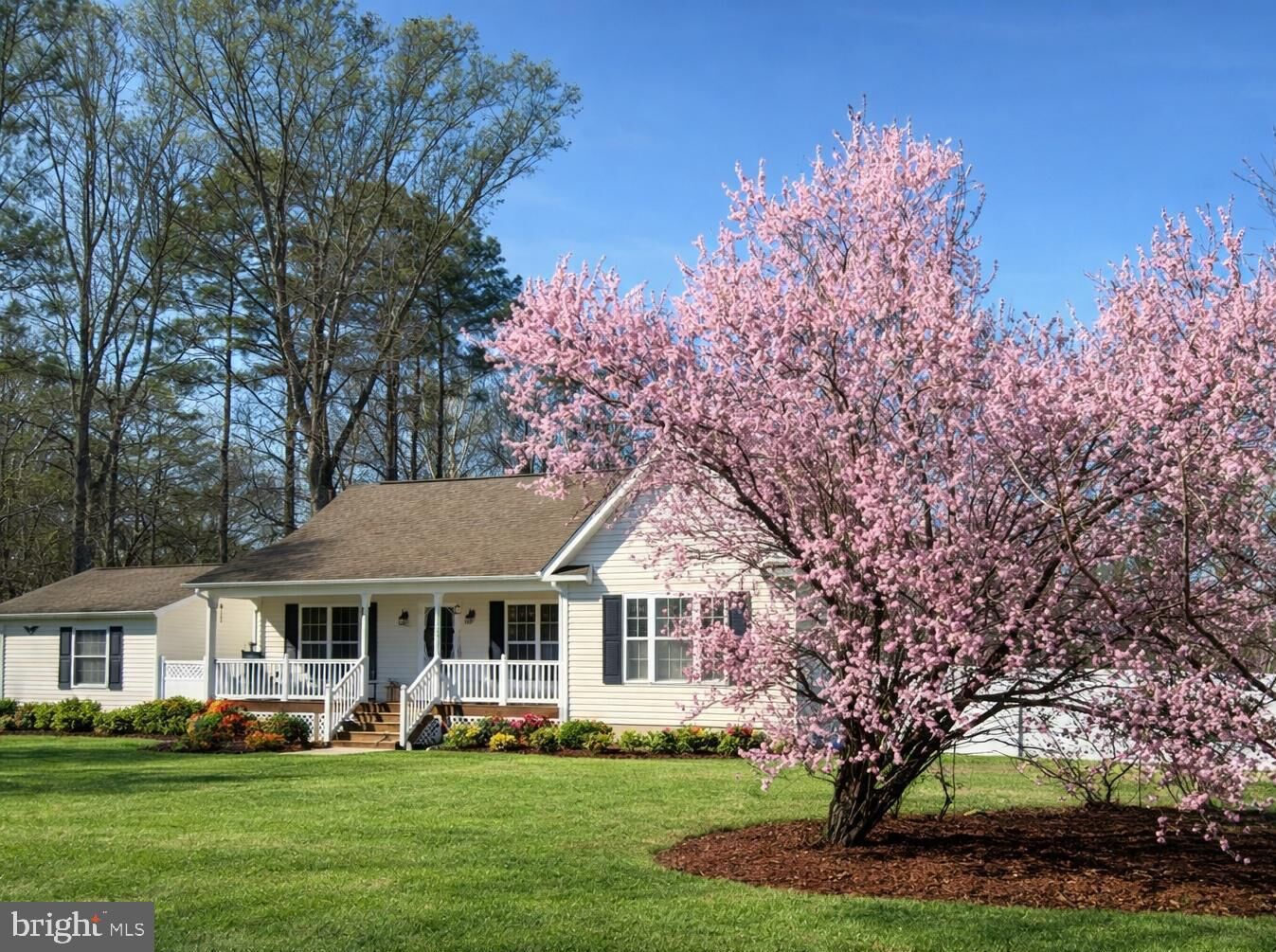 Property Photo:  198 Cedar Lane  VA 22443 