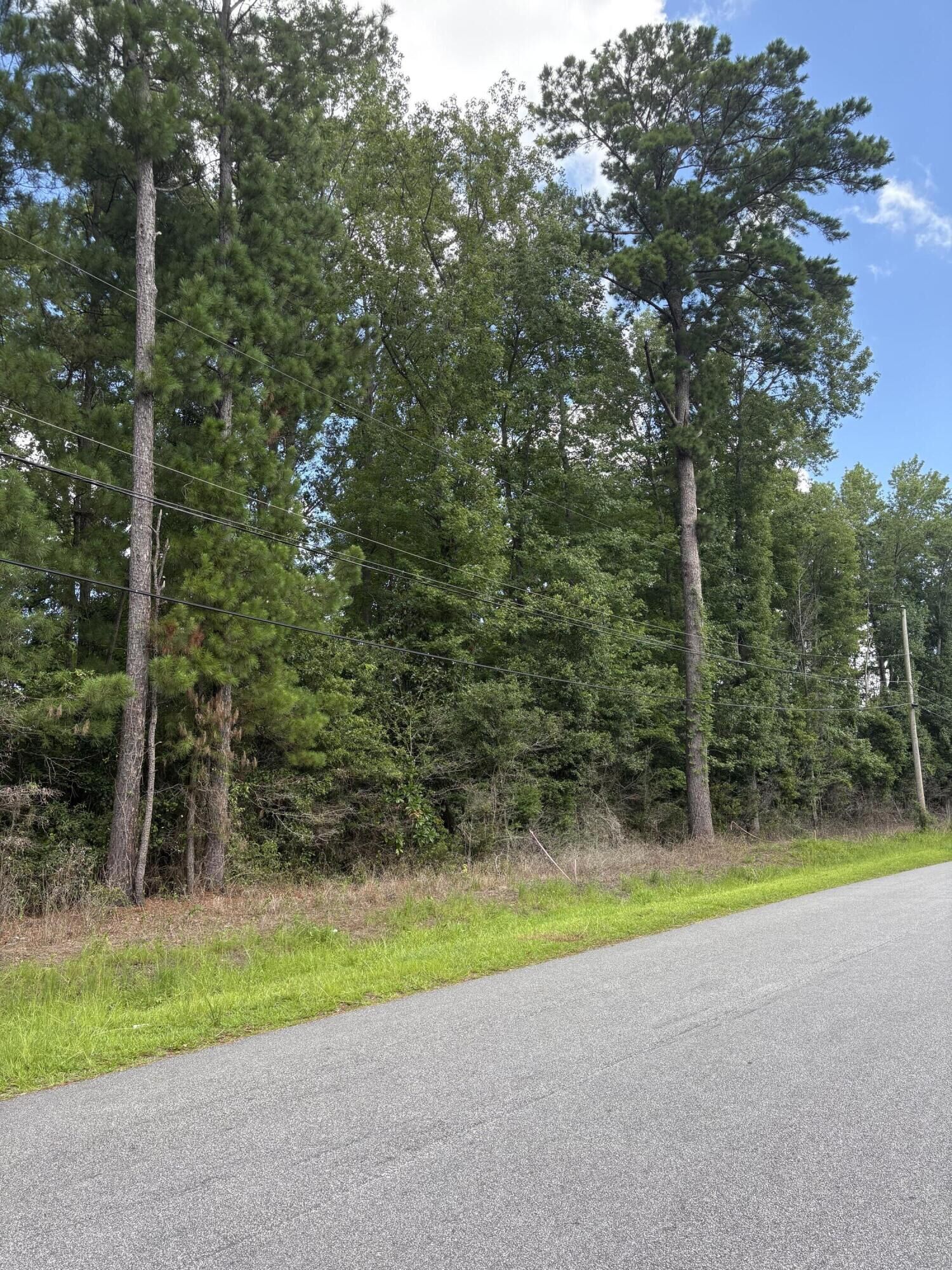 Property Photo:  0 University Drive Lot 188  SC 29418 