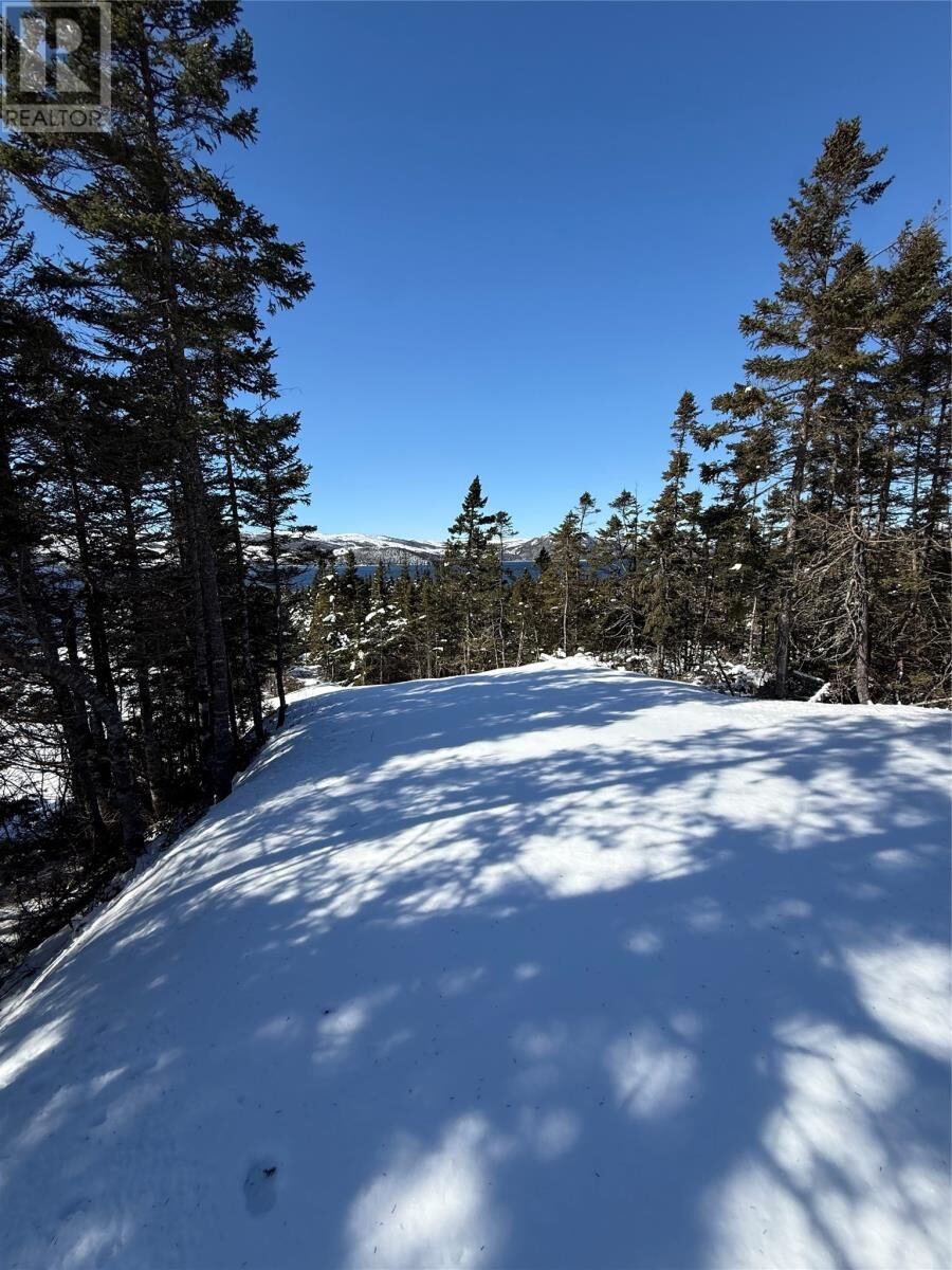 Property Photo:  0 Main Road  NL A0E 1S0 