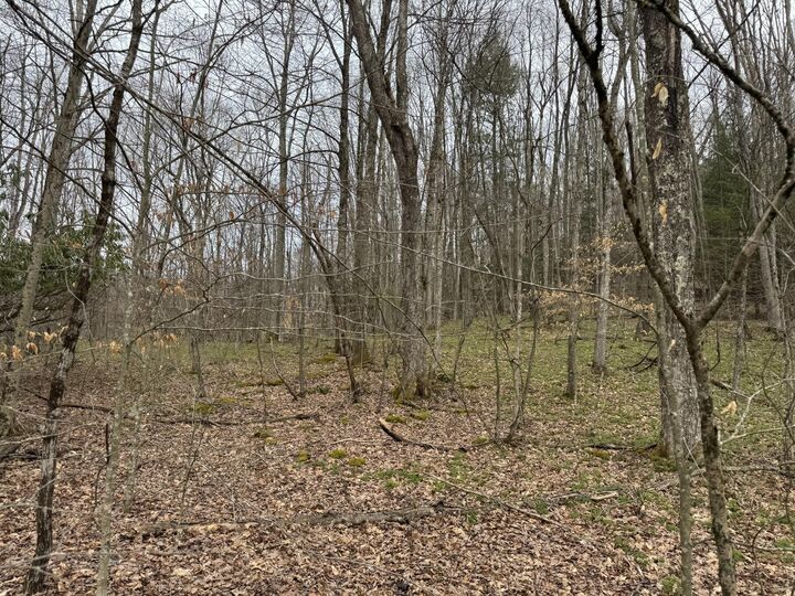 Property Photo:  Sugar Camp Rd  WV 26205 