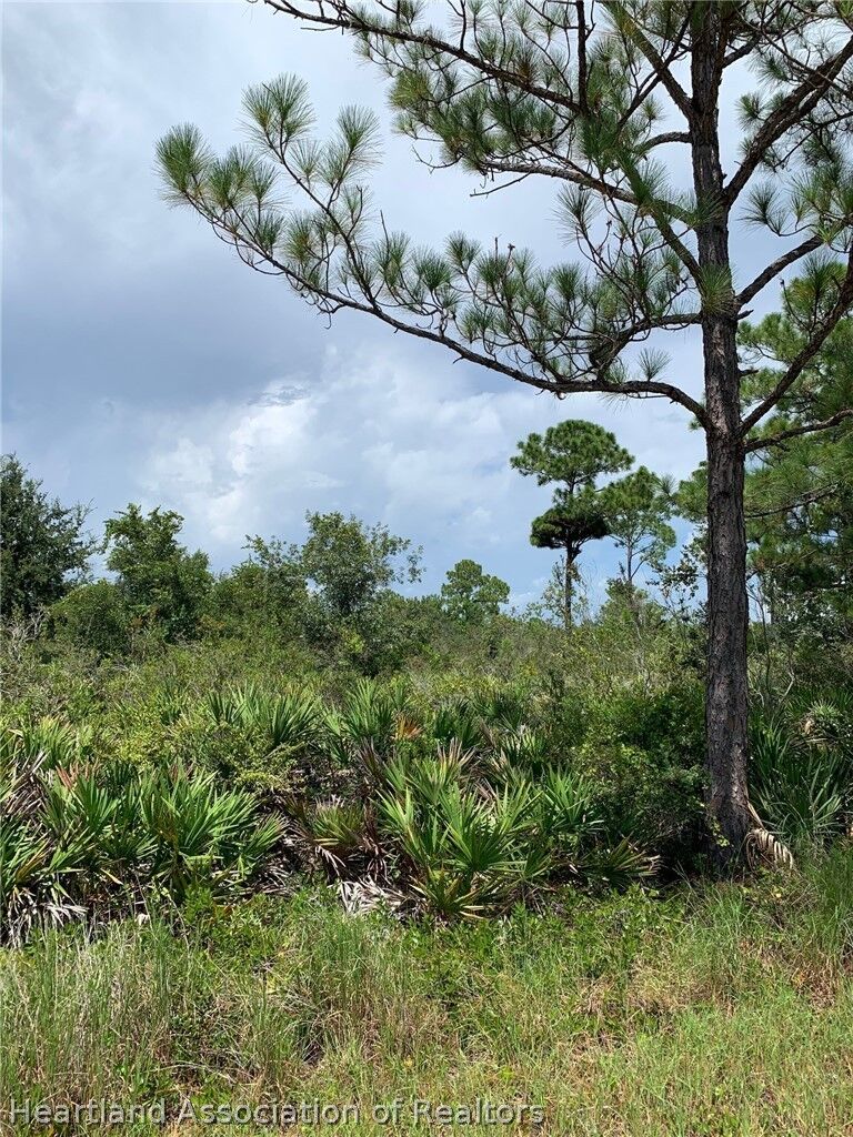 Property Photo:  225 Tomahawk Street  FL 33852 