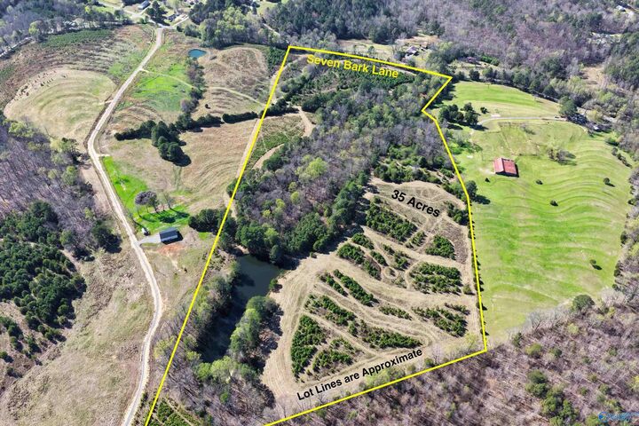 Property Photo: 01 Seven Bark Lane AL 35121